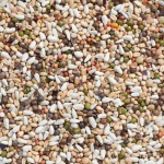 Deli Nature 33 Germination Seed Large Parakeets & Parrots